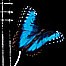 Rijeka: Praizvedba baleta 'Blue Butterfly'